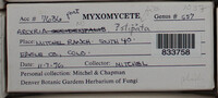 Image Associated With the Occurence